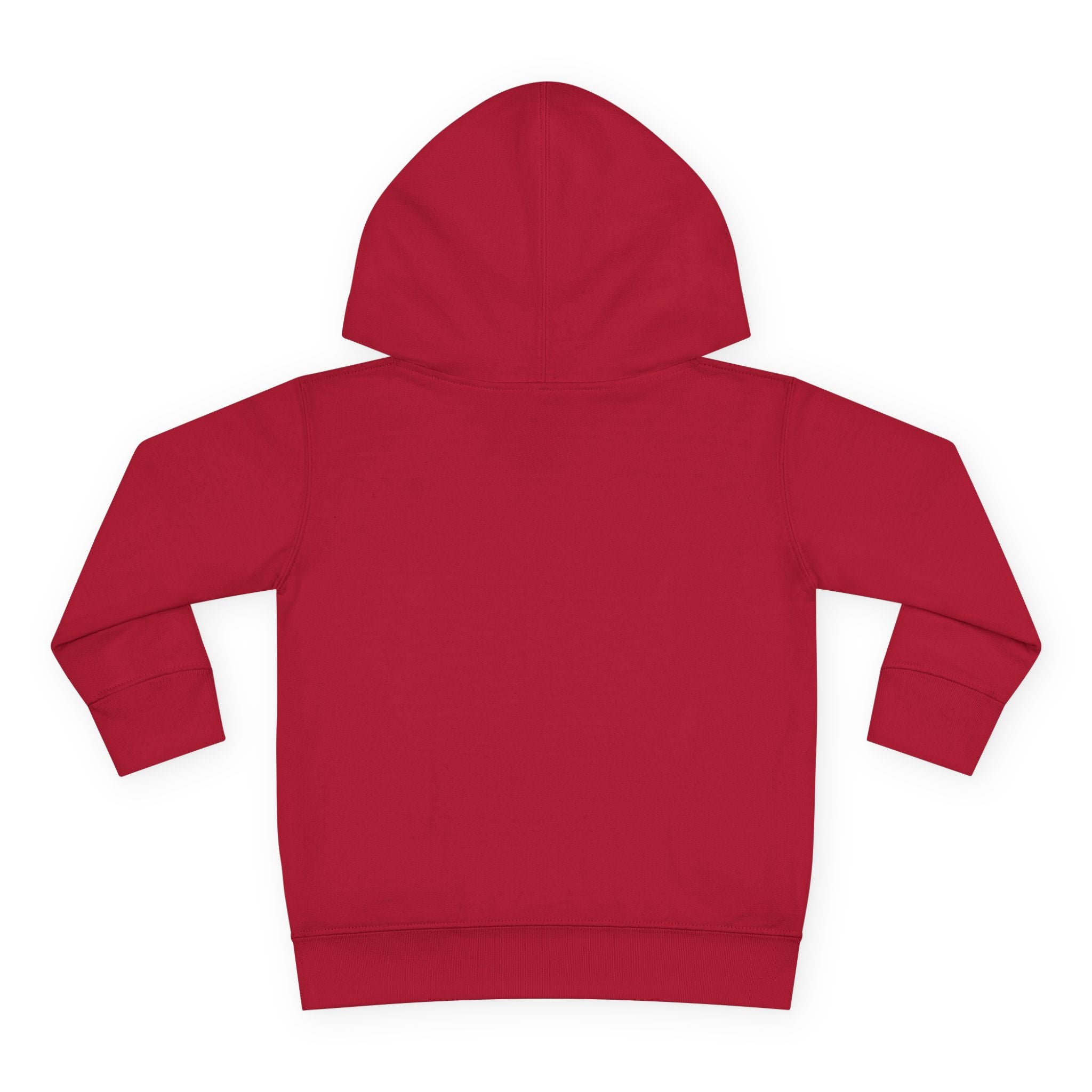 Personalized Paw Patrol Toddler Hoodie – "A is for Always" Name Sweatshirt