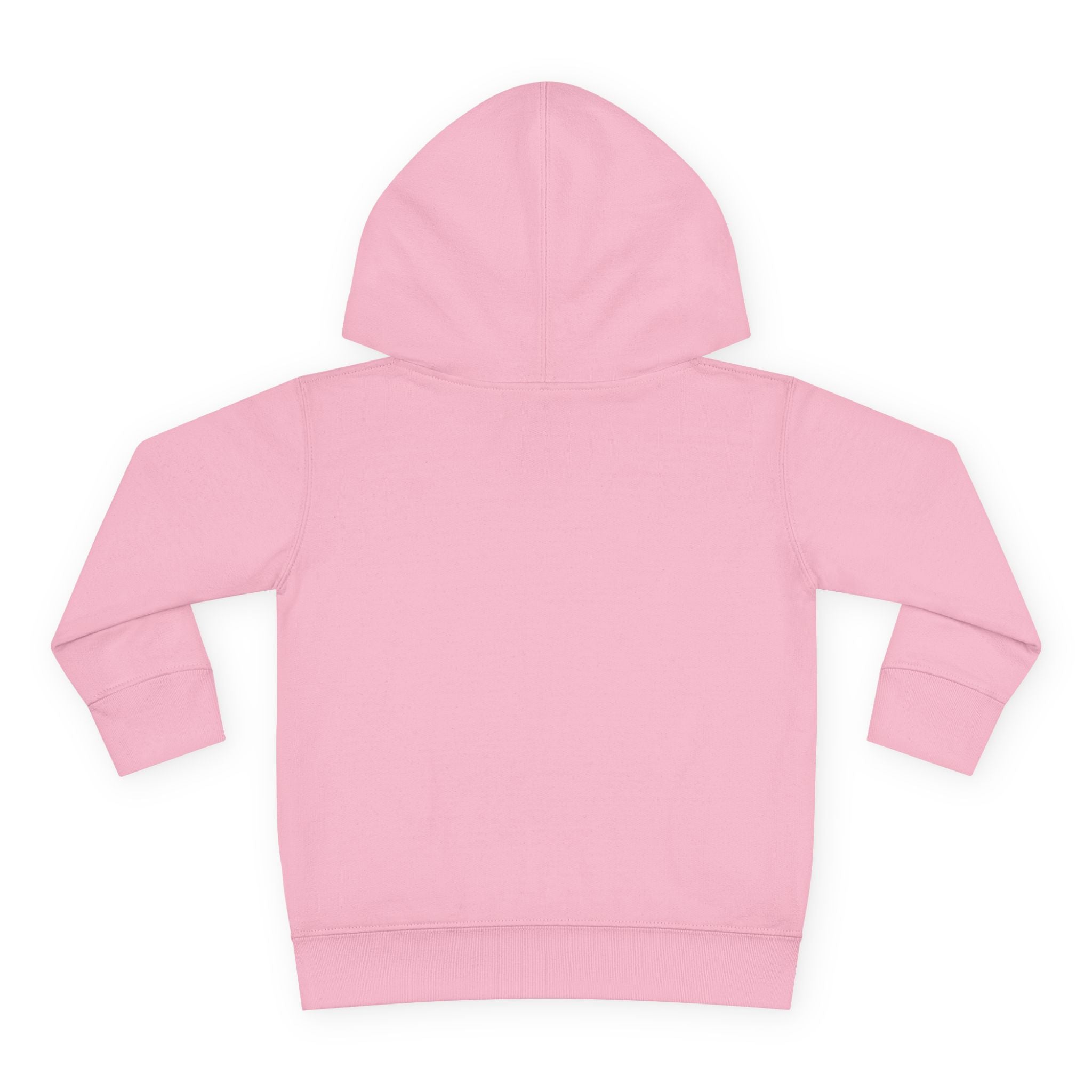 Personalized Paw Patrol Toddler Hoodie – "A is for Always" Name Sweatshirt