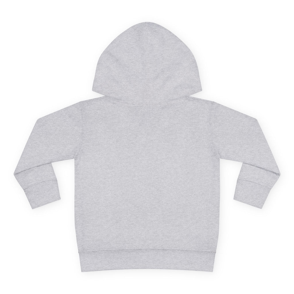 Personalized Paw Patrol Toddler Hoodie – "A is for Always" Name Sweatshirt