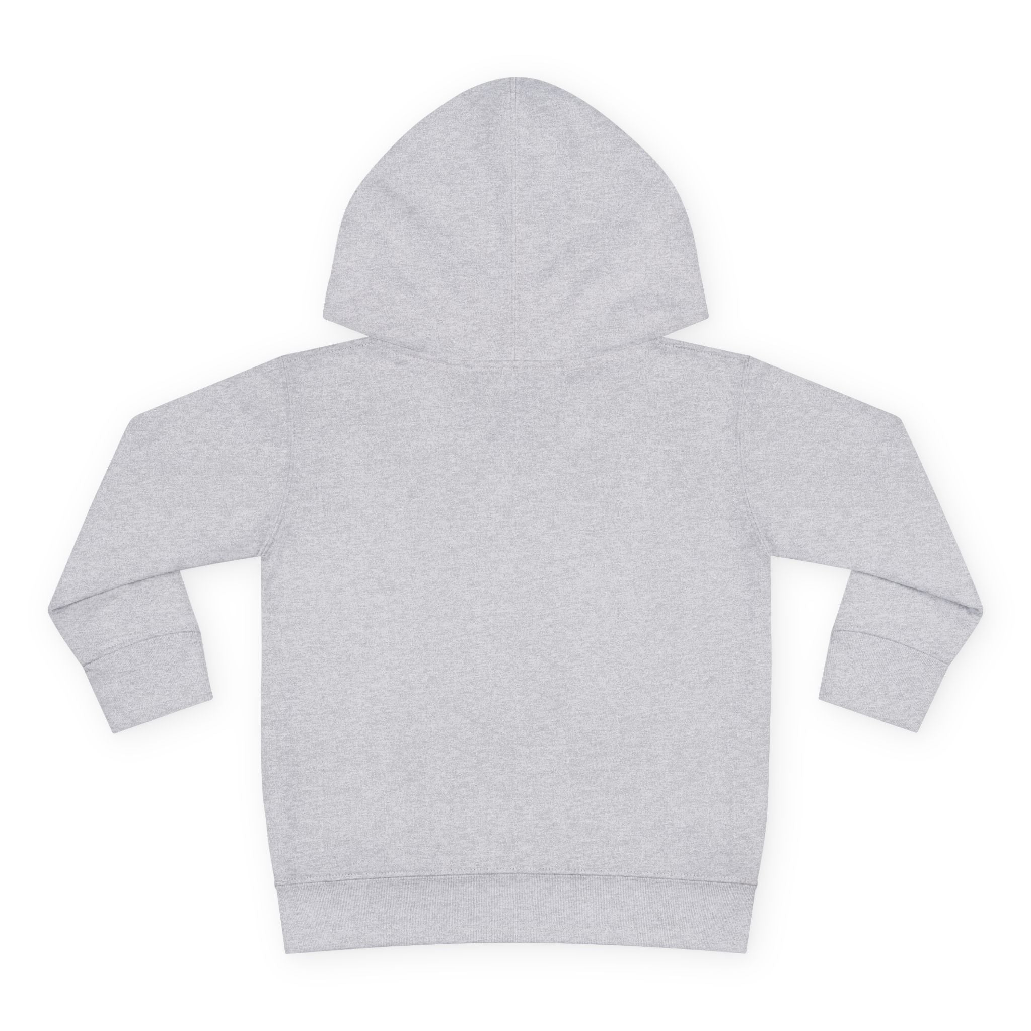 Personalized Paw Patrol Toddler Hoodie – "A is for Always" Name Sweatshirt