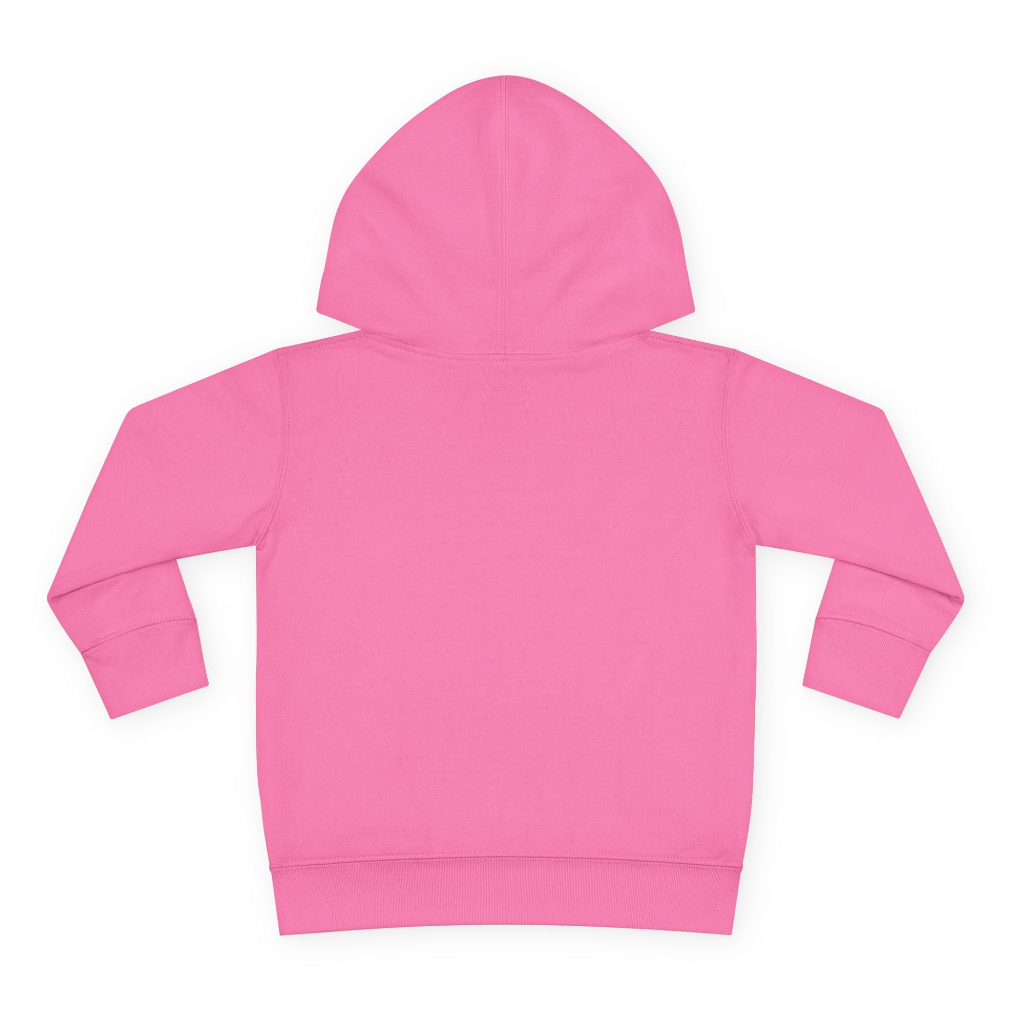 Personalized Paw Patrol Toddler Hoodie – "A is for Always" Name Sweatshirt