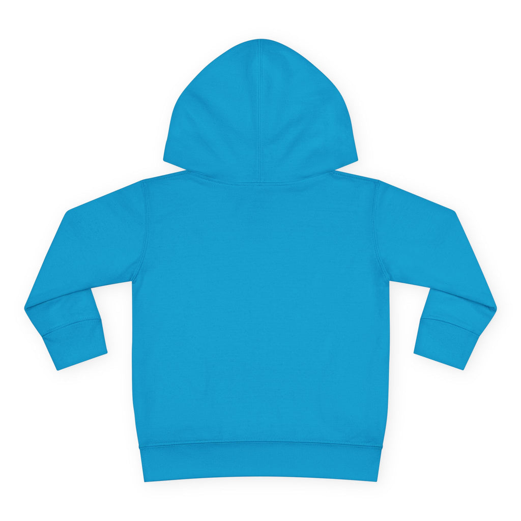 Personalized Paw Patrol Toddler Hoodie – "A is for Always" Name Sweatshirt