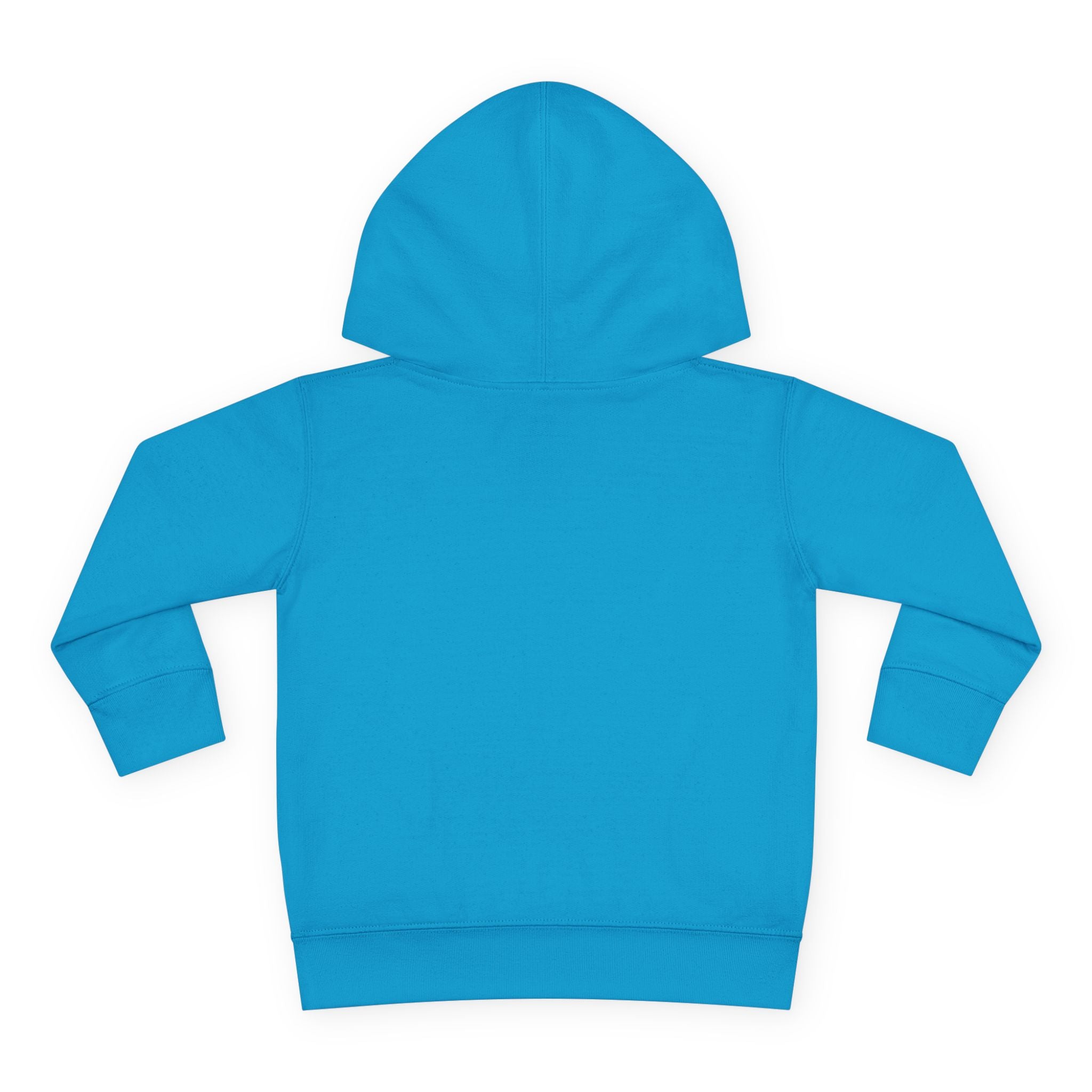 Personalized Paw Patrol Toddler Hoodie – "A is for Always" Name Sweatshirt