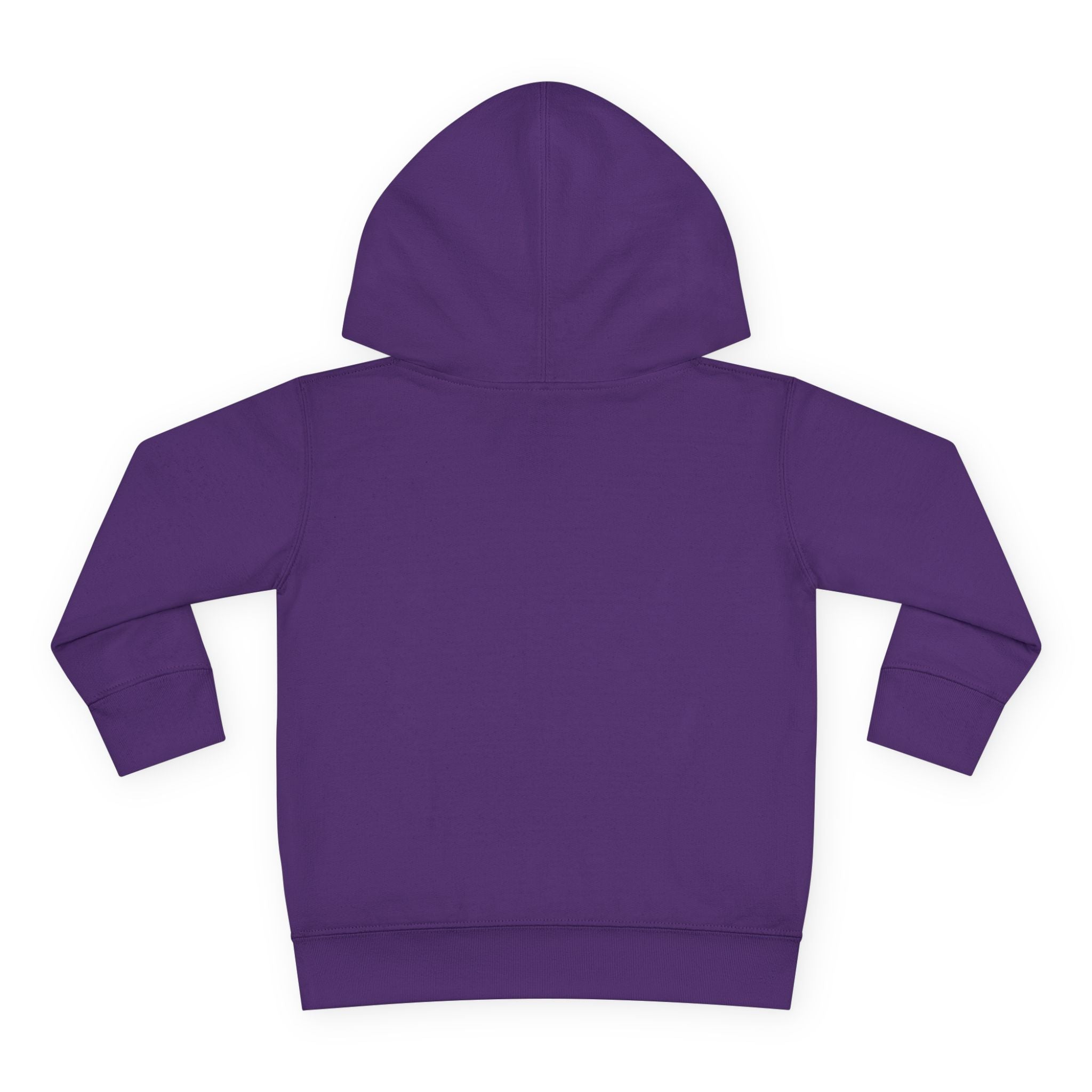 Personalized Paw Patrol Toddler Hoodie – "A is for Always" Name Sweatshirt