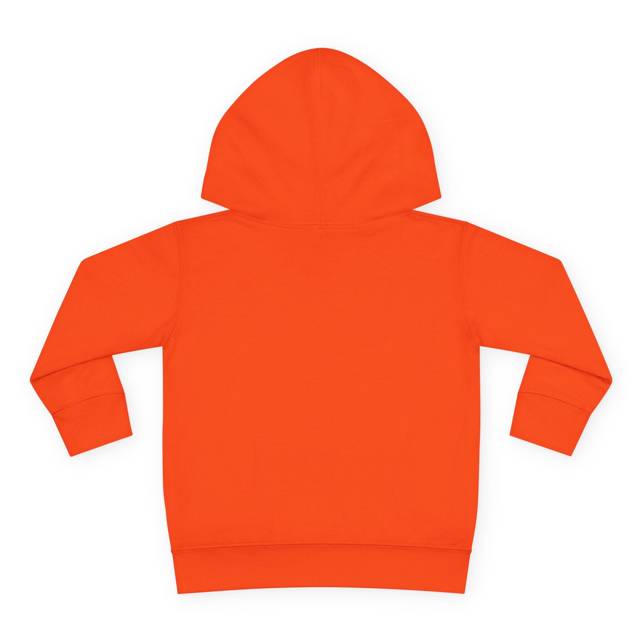 Personalized Paw Patrol Toddler Hoodie – "A is for Always" Name Sweatshirt